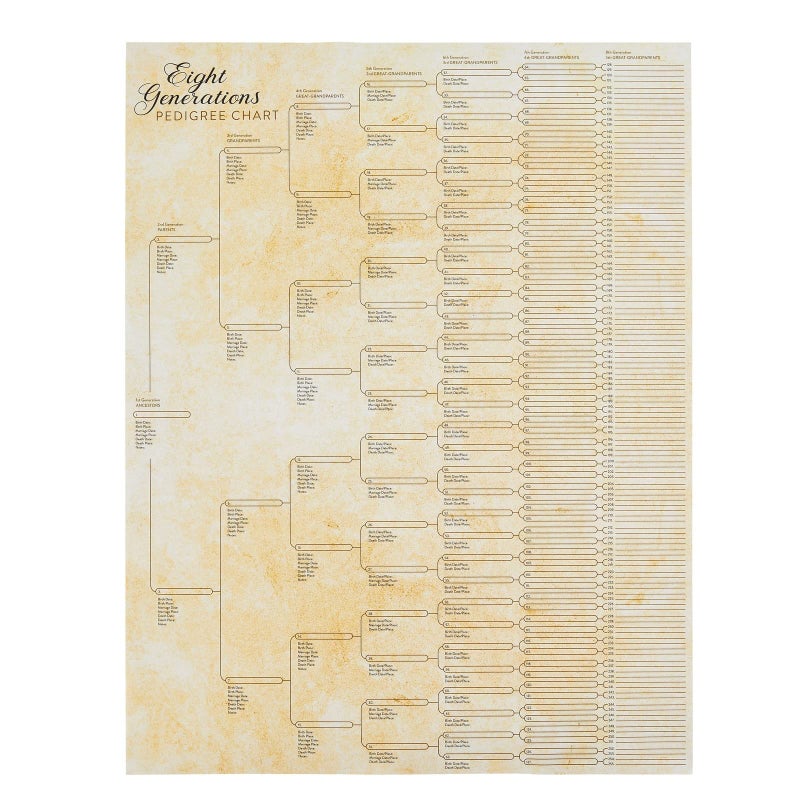 Okuna Outpost Family Tree Charts to Fill in - 8 Generation Genealogy Charts with 255 Name Spaces - Blank Family Tree Posters on Poster Paper for Framing - Pack of 15, 17 x 22 In, Off-White - Image 1